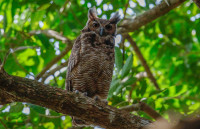 Technoparc de Montréal